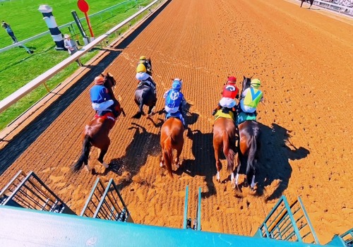 Horse Racing Facility picture