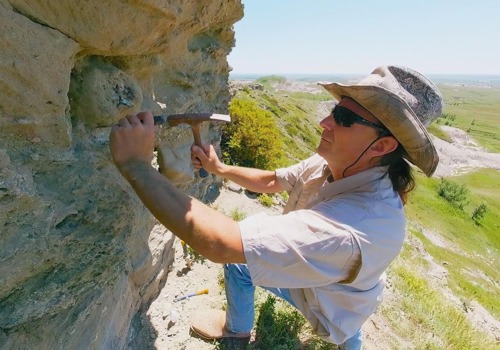 Paleontologist picture