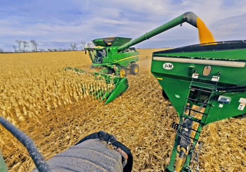Crop Production picture